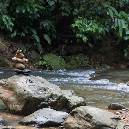 Rain Forest Guest House Bukit Lawang Exteriör bild