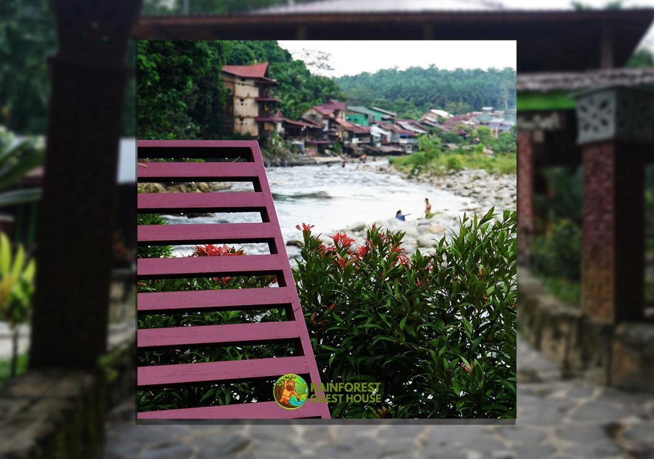 Rain Forest Guest House And Jungle Trekking Bukit Lawang Exteriör bild