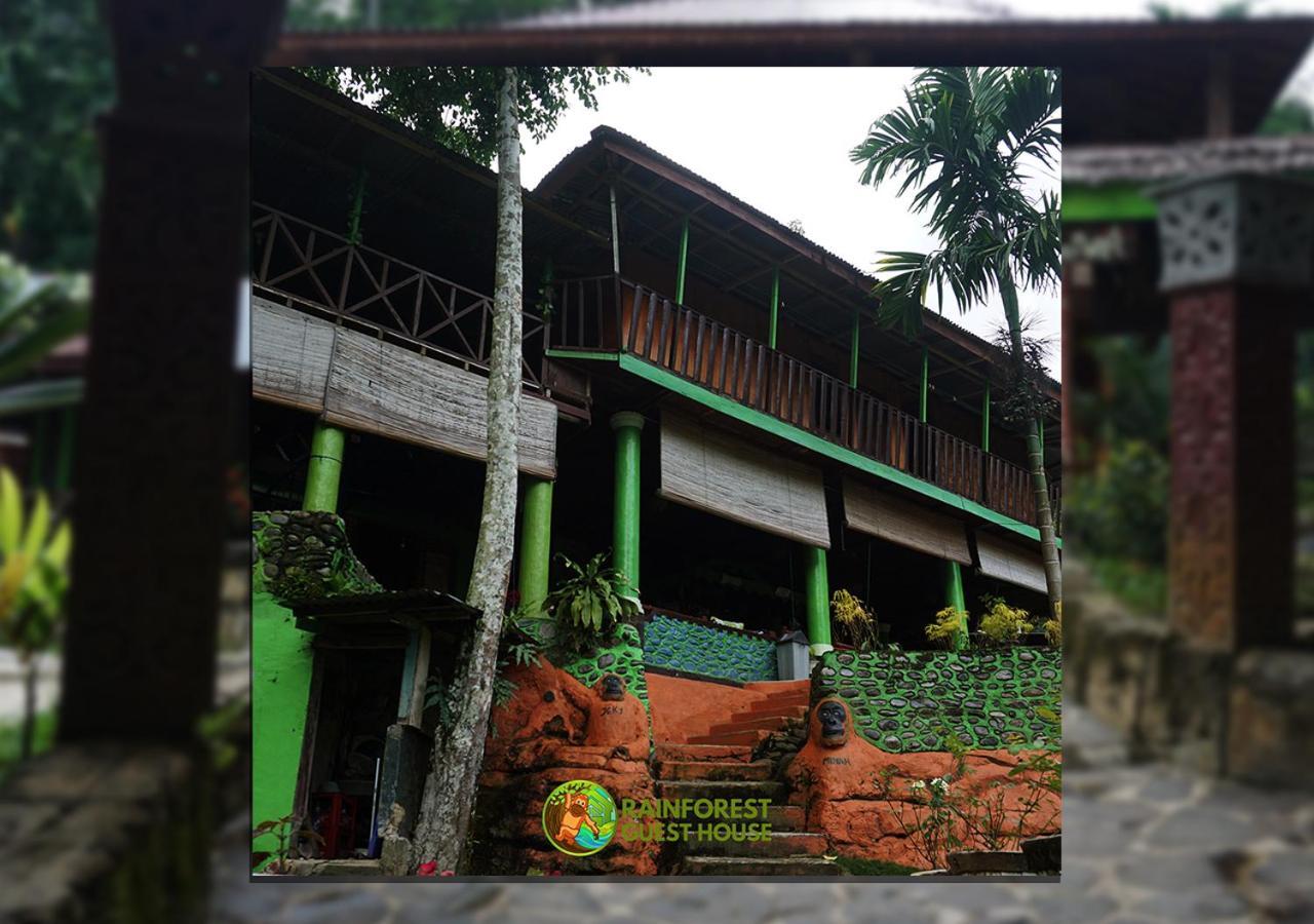 Rain Forest Guest House And Jungle Trekking Bukit Lawang Exteriör bild