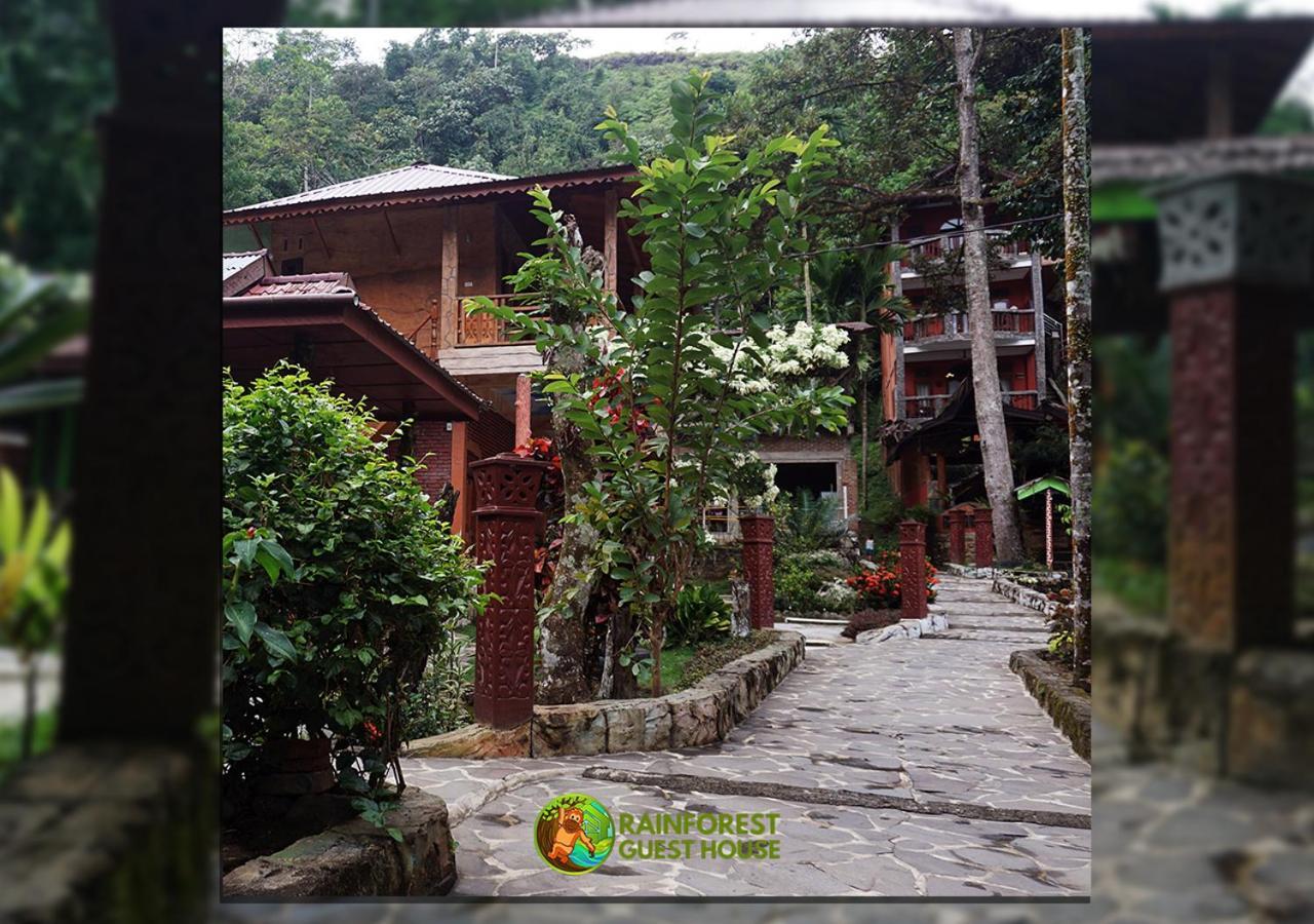 Rain Forest Guest House And Jungle Trekking Bukit Lawang Exteriör bild