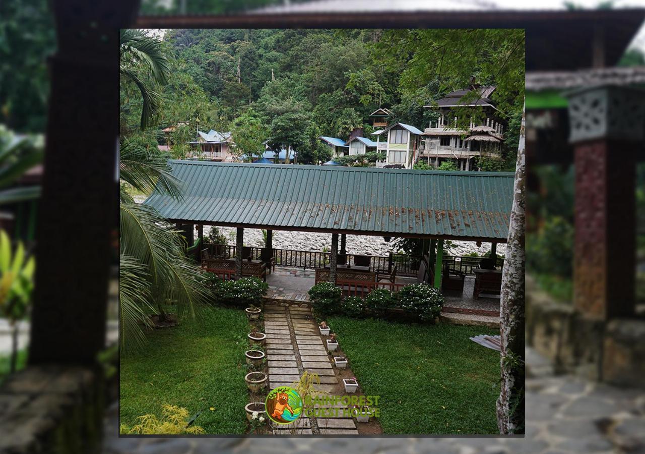 Rain Forest Guest House And Jungle Trekking Bukit Lawang Exteriör bild