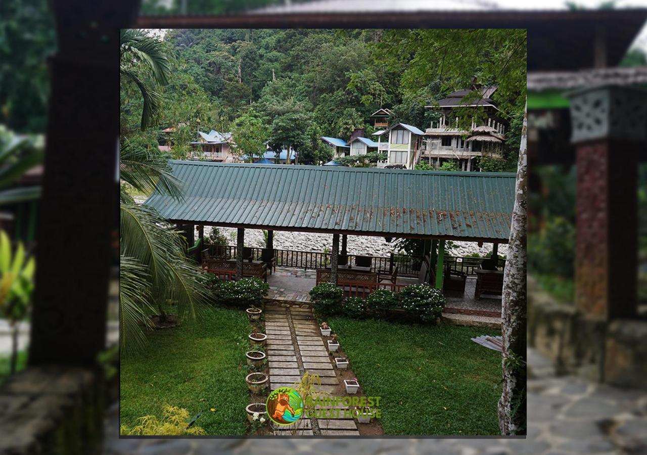 Rain Forest Guest House Bukit Lawang Exteriör bild