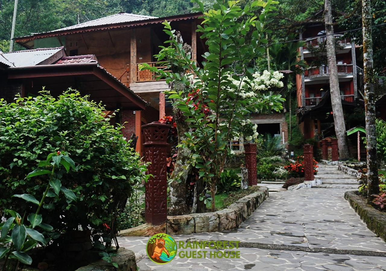 Rain Forest Guest House And Jungle Trekking Bukit Lawang Exteriör bild