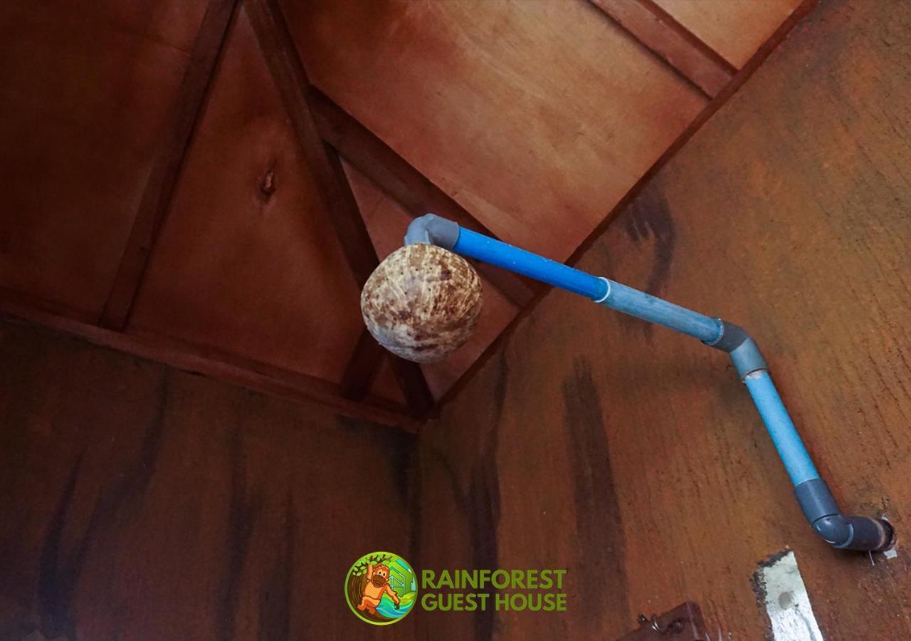 Rain Forest Guest House And Jungle Trekking Bukit Lawang Exteriör bild