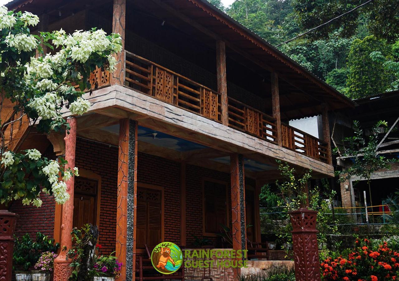 Rain Forest Guest House And Jungle Trekking Bukit Lawang Exteriör bild