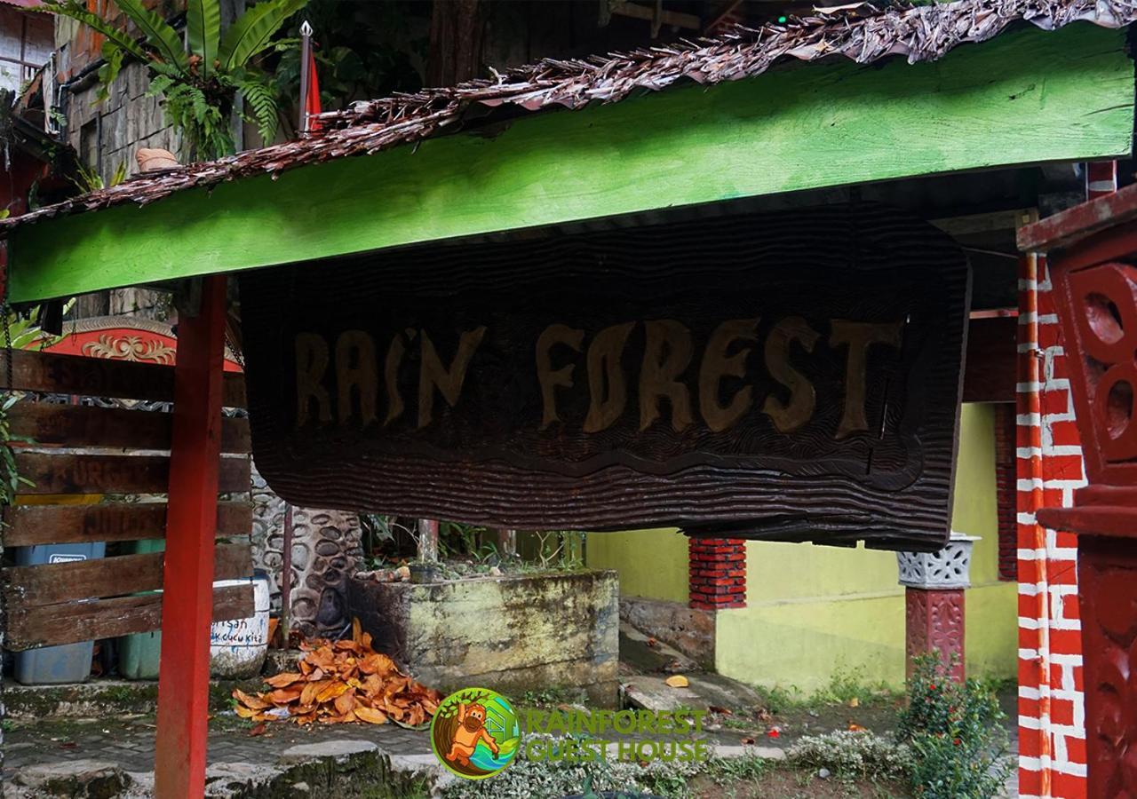 Rain Forest Guest House And Jungle Trekking Bukit Lawang Exteriör bild