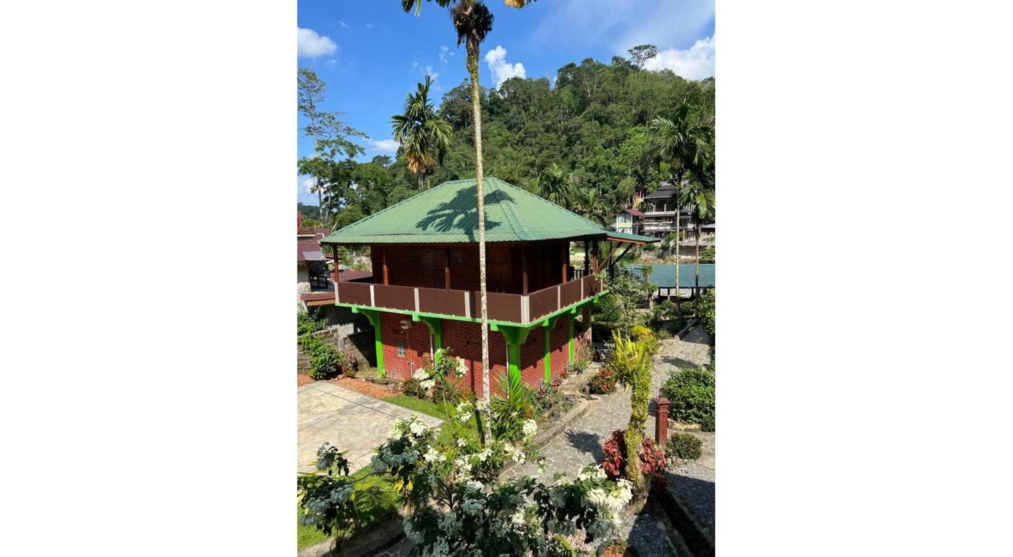 Rain Forest Guest House And Jungle Trekking Bukit Lawang Exteriör bild