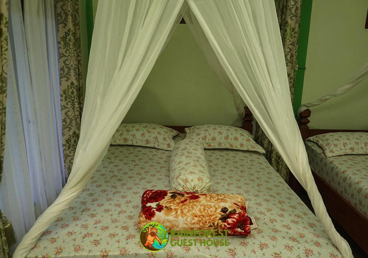 Rain Forest Guest House And Jungle Trekking Bukit Lawang Rum bild