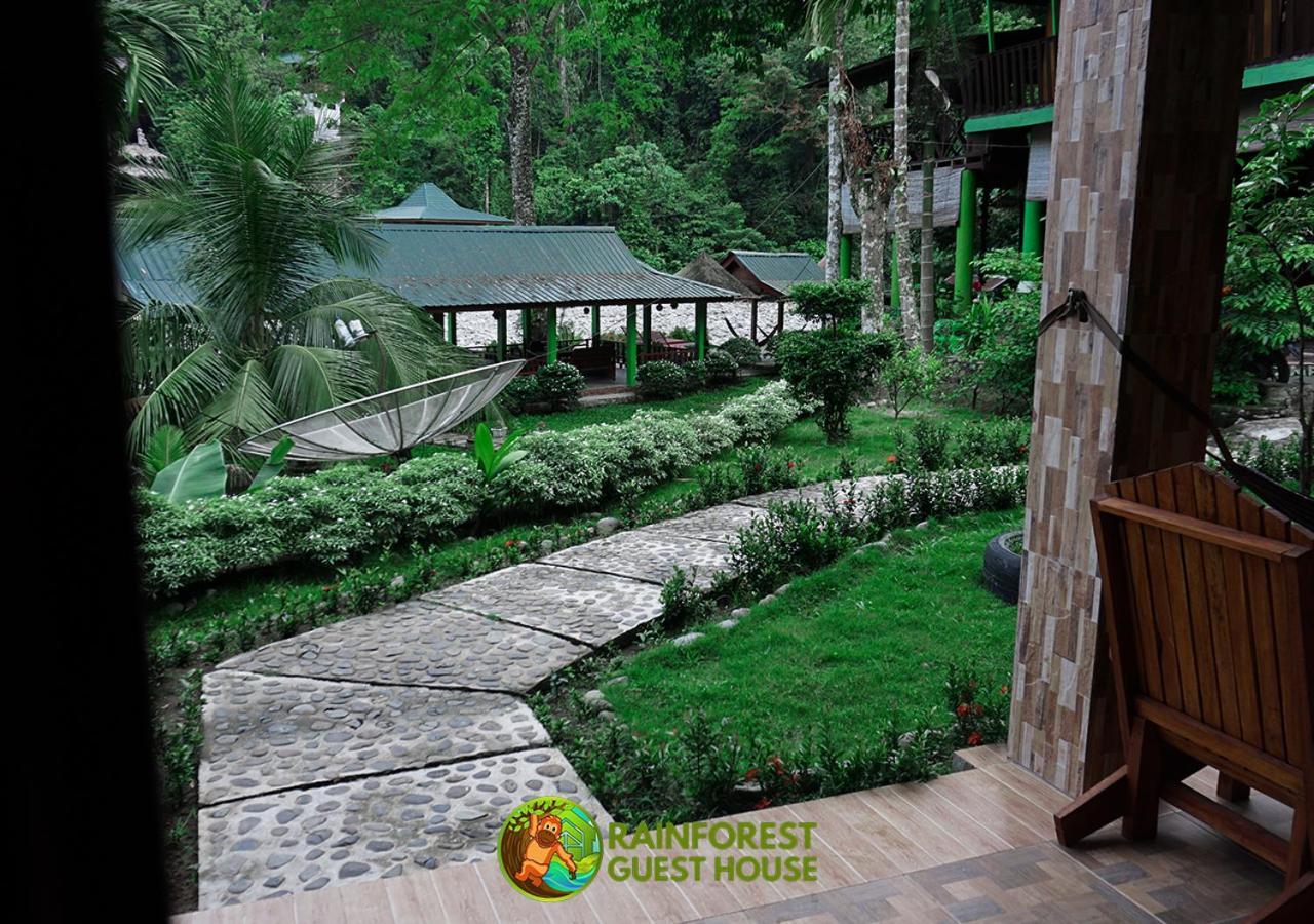 Rain Forest Guest House Bukit Lawang Rum bild