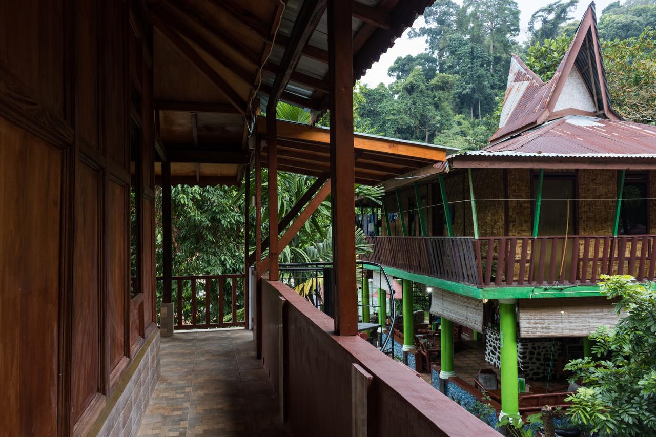 Rain Forest Guest House And Jungle Trekking Bukit Lawang Exteriör bild