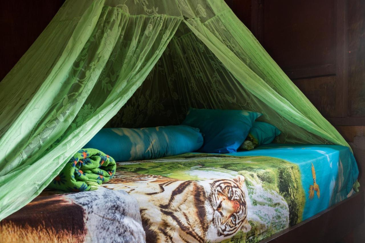 Rain Forest Guest House And Jungle Trekking Bukit Lawang Exteriör bild