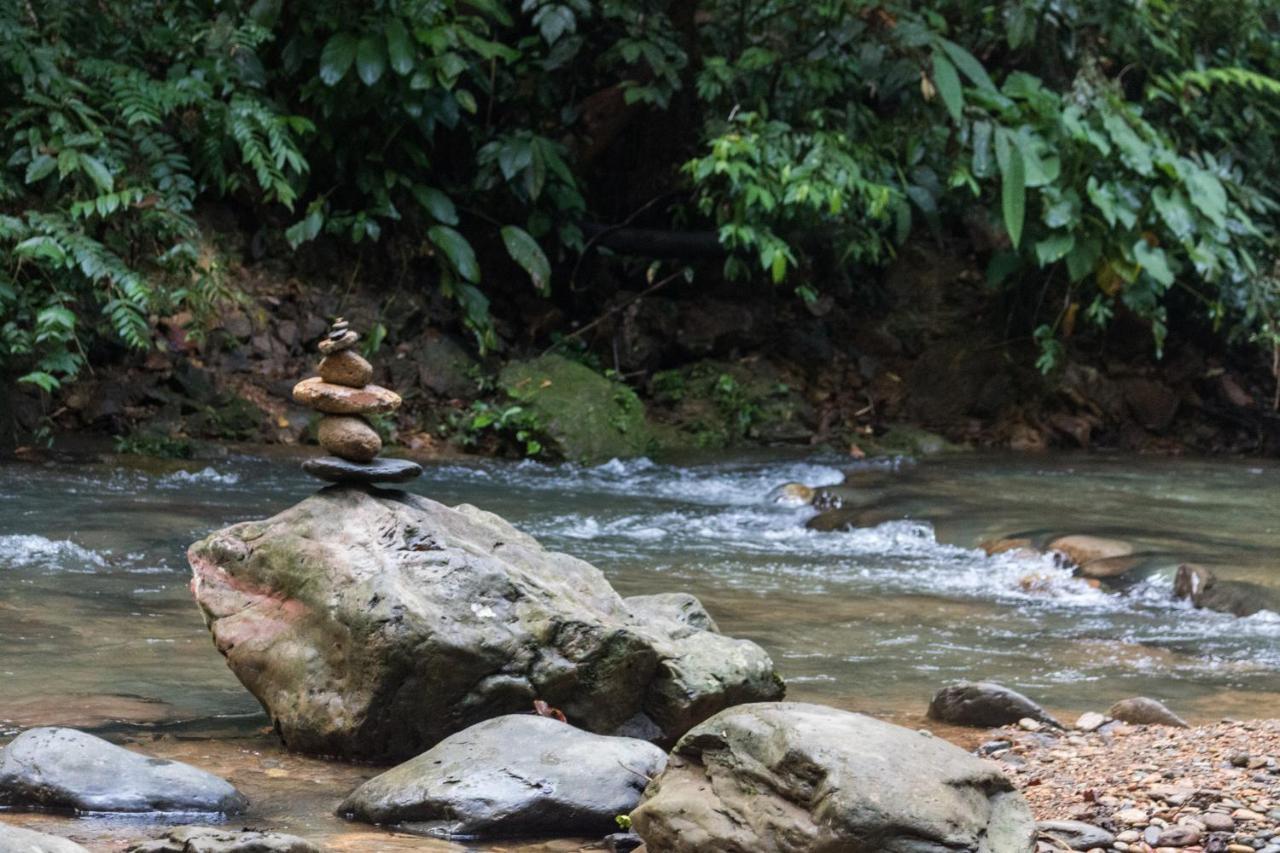 Rain Forest Guest House Bukit Lawang Exteriör bild