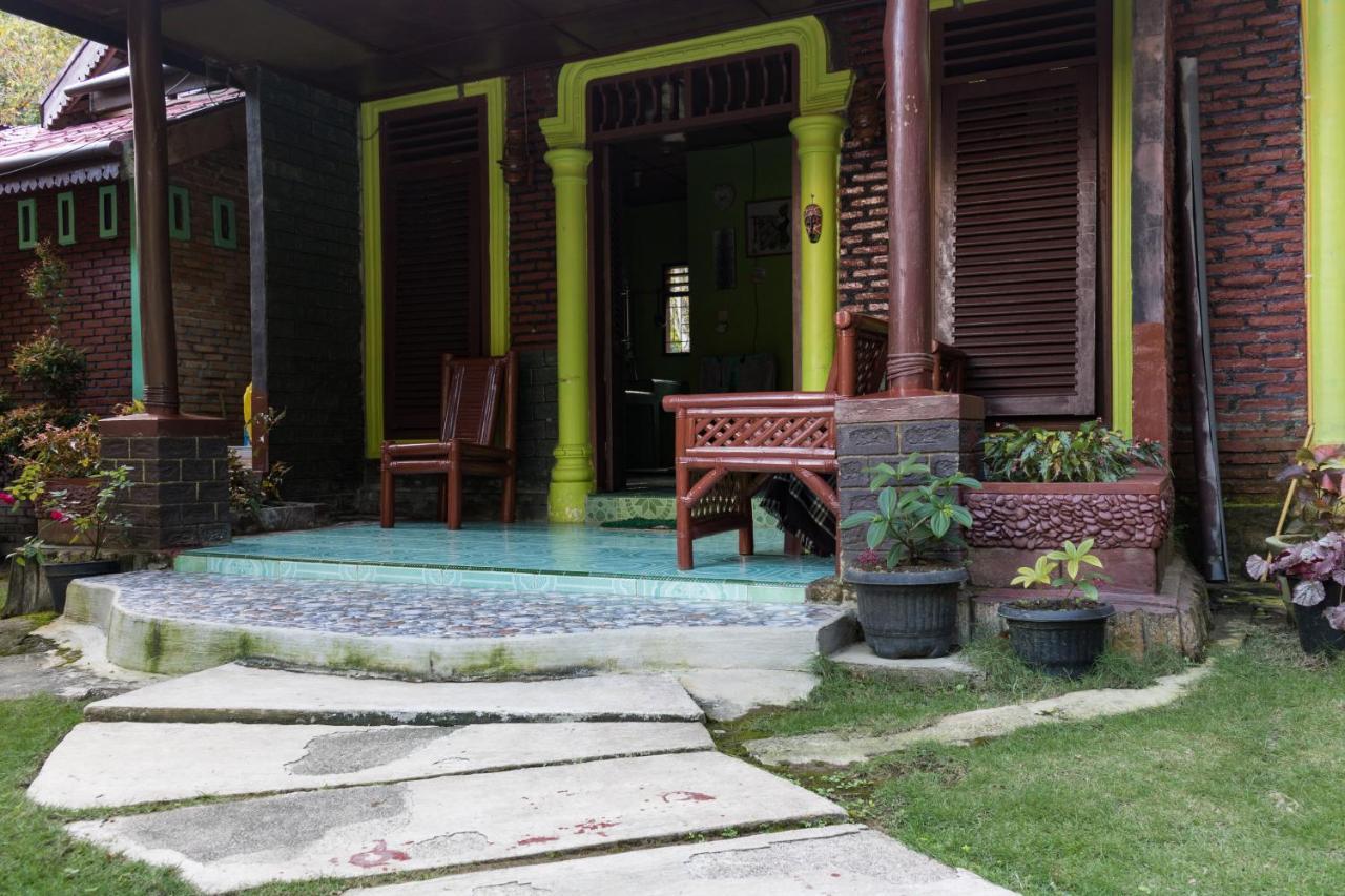 Rain Forest Guest House And Jungle Trekking Bukit Lawang Exteriör bild
