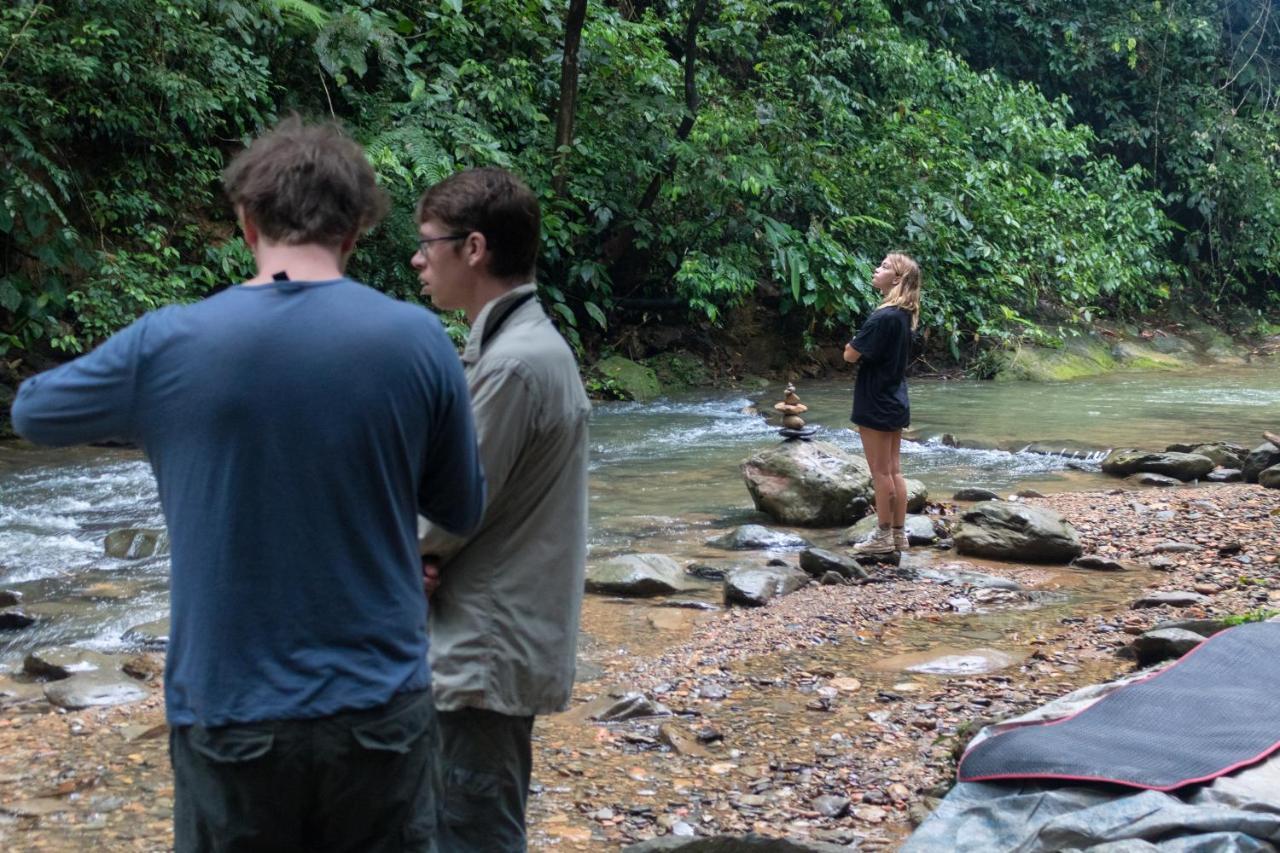 Rain Forest Guest House And Jungle Trekking Bukit Lawang Exteriör bild